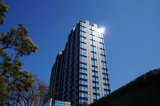 淡水租房网，探索淡水地区租房市场，为您找到理想的家