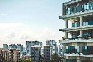 探索甘露园，租房市场全解析