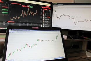 浴霸市场分析，需求、趋势与投资机会