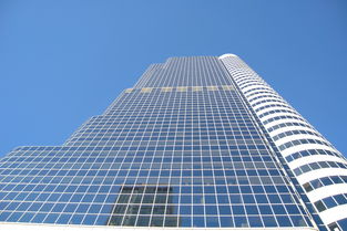 探索棠下，租房市场分析及实用建议